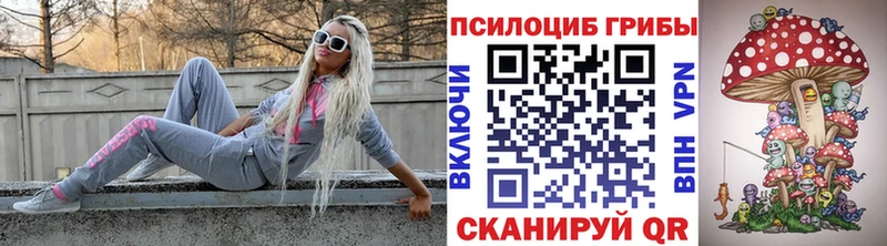 Галлюциногенные грибы мухоморы  Суоярви 